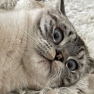 Meet your Posher, Ash